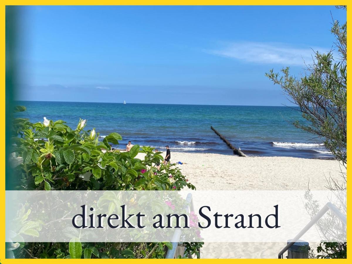 3 Zimmer App Duenengarten Fewo 58 Kuhlungsborn Bagian luar foto