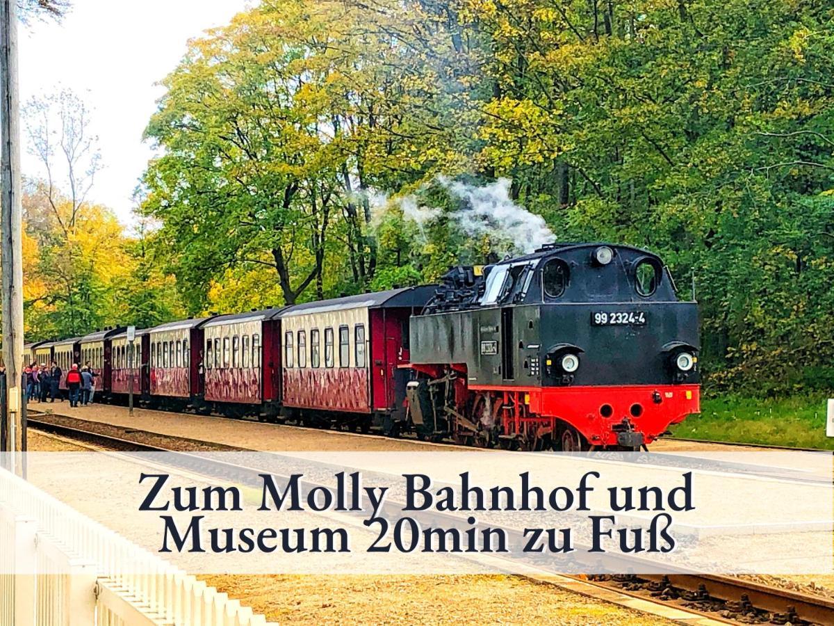 3 Zimmer App Duenengarten Fewo 58 Kuhlungsborn Bagian luar foto
