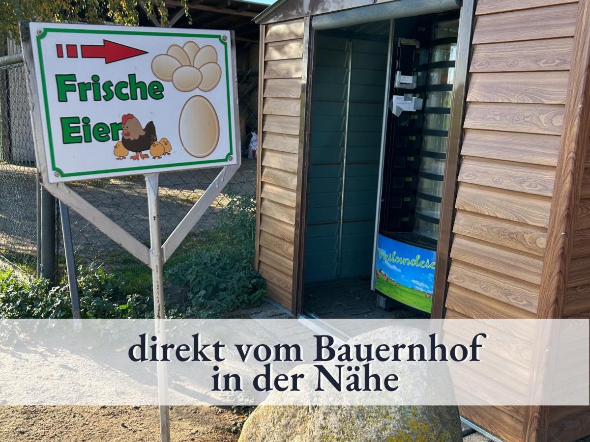 3 Zimmer App Duenengarten Fewo 58 Kuhlungsborn Bagian luar foto