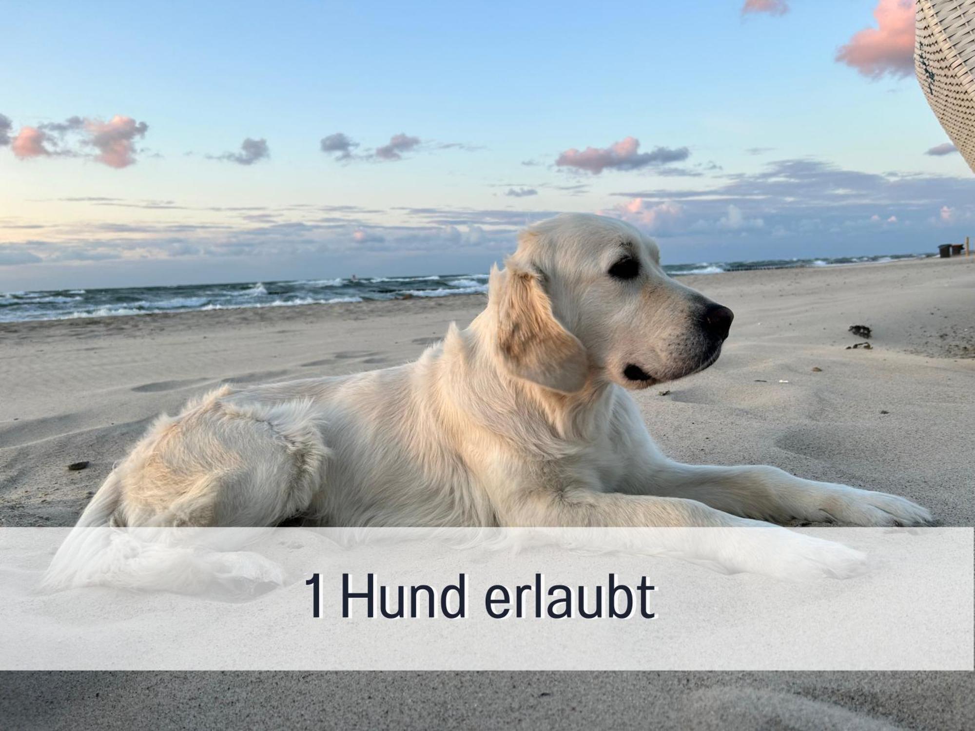 3 Zimmer App Duenengarten Fewo 58 Kuhlungsborn Bagian luar foto